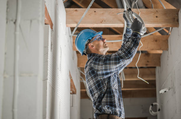 Best Generator Installation Services  in Stockbridge, MI