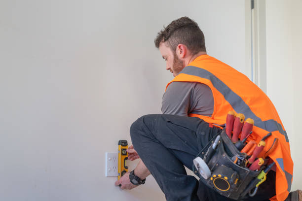 Best Affordable Electrician  in Stockbridge, MI