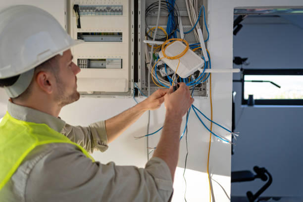 Best Electrical System Inspection  in Stockbridge, MI